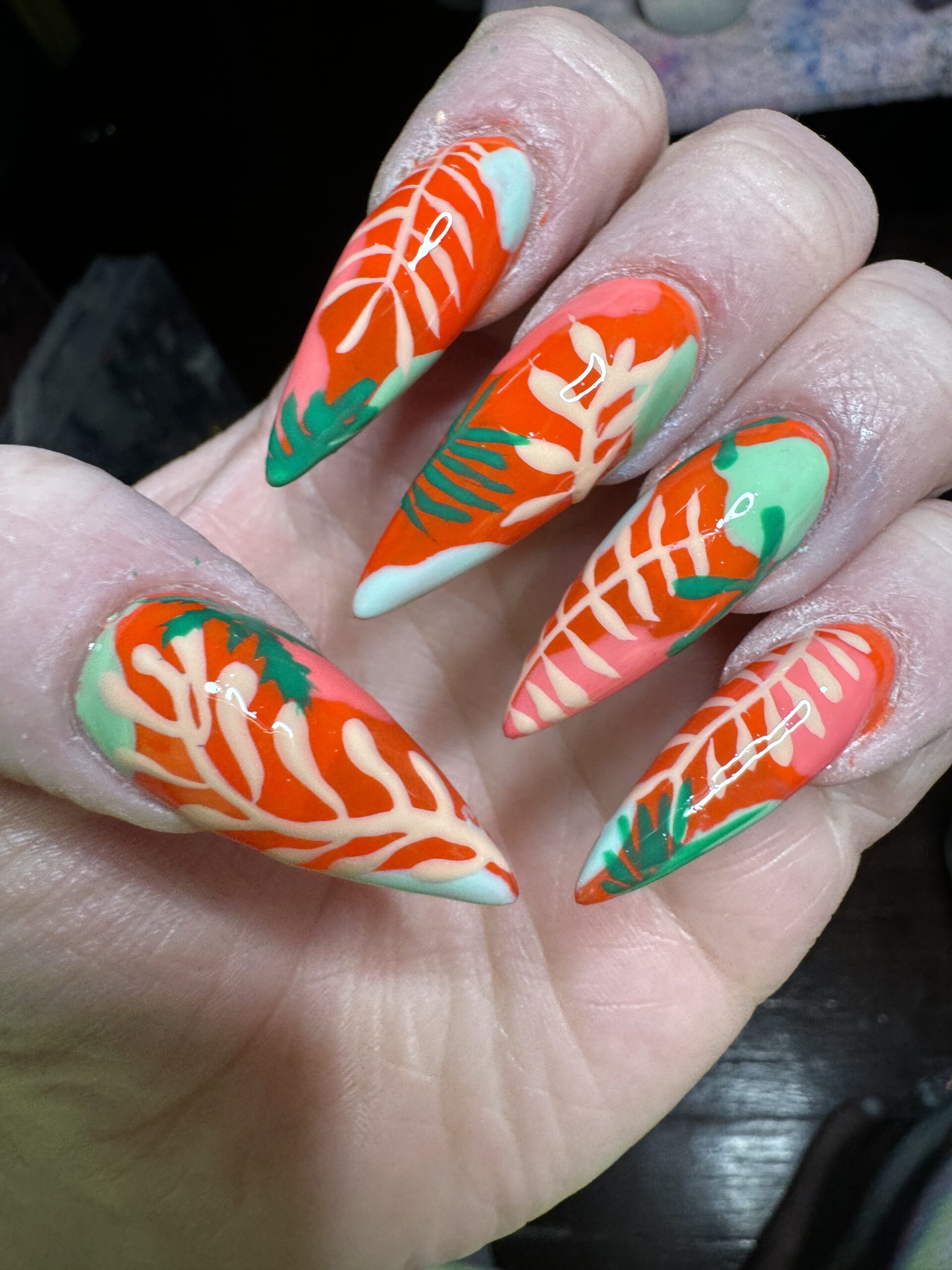tropics
